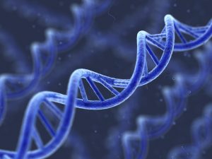 Genetic Bio-markers